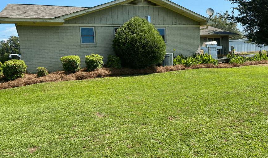 Lawn Care
